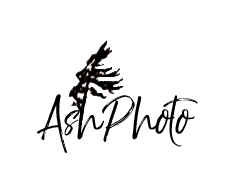 AshPhoto logo