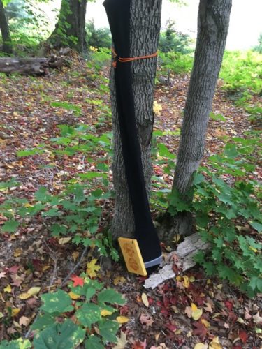 canoe paddle in sock tied to a tree with a wooden Paddle in the Park tag