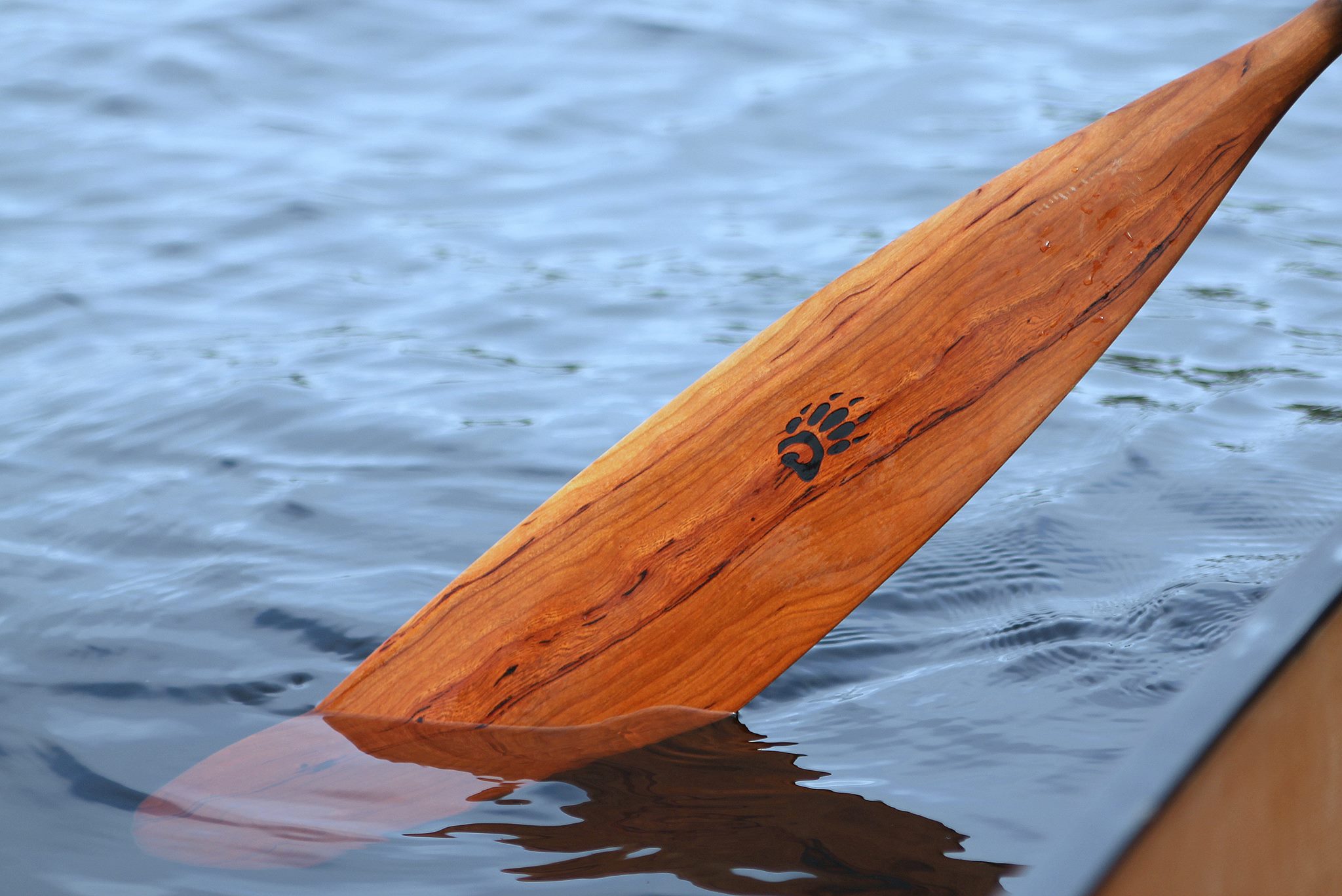 Paddle dipping in the water beside canoe.